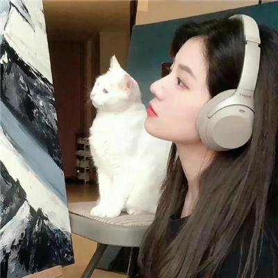 大宋少年志